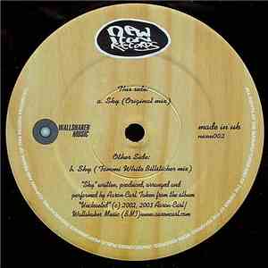 Aaron-Carl - Sky album