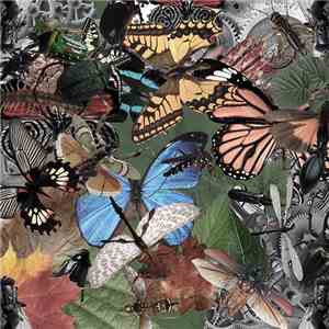 Ad Marginem - Mechanical Insect album
