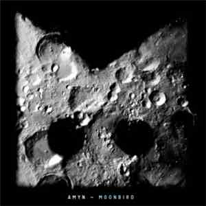 Amyn - Moonbird album