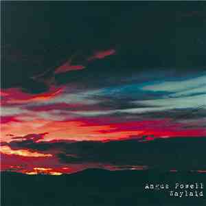 Angus Powell - Waylaid album
