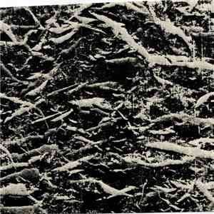 Black Thread - Effulgent Angel Piss album