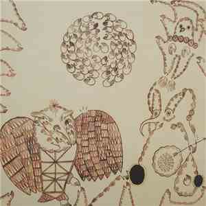 Devendra Banhart - Rejoicing In The Hands / Niño Rojo album