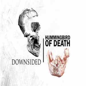 Downsided / Hummingbird Of Death - Downsided / Hummingbird Of Death album