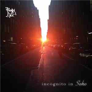 Funky DL - Incognito In Soho album