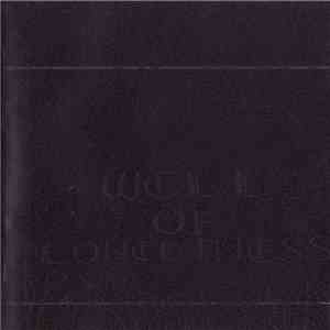 Groke  - Well Of Loneliness album