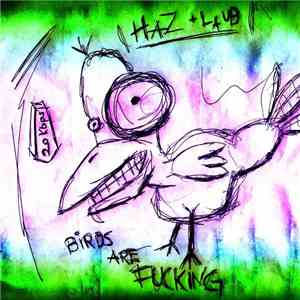 Haz + Laub - Birds Are Fucking album