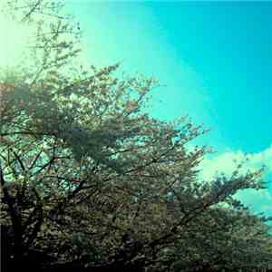 Hirotaka Shirotsubaki - April - EP album