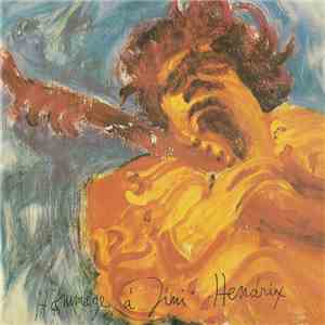 Jimi Hendrix - The Jimi Hendrix Concerts album