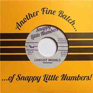 Lawsuit Models - Dudeman b/w Hot Garbage album