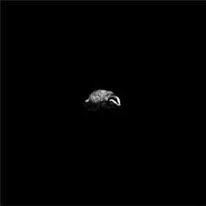 Mark Francombe - Badgered album