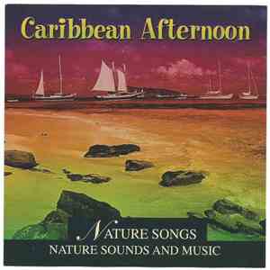 Mick Lloyd  - Caribbean Afternoon album