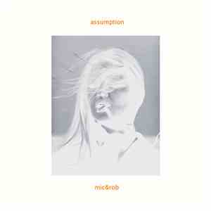 mic&rob - Assumption album