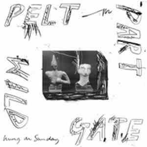 Pelt Part Wild Gate - Hung On Sunday album