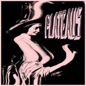 Plateaus - Do It For You album