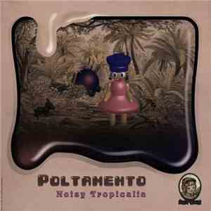 Poltamento - Noisy Tropicalia album