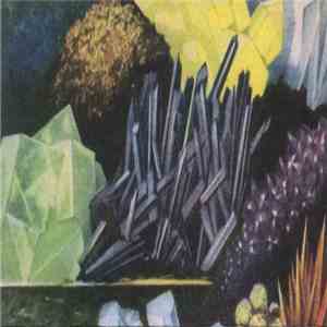 Pregnant Spore / Actuary - Split album