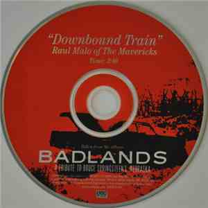 Raul Malo - Downbound Train album