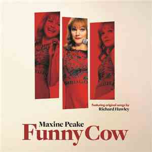 Richard Hawley - Funny Cow album