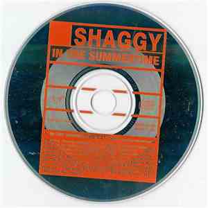 Shaggy - In The Summertime album