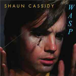 Shaun Cassidy - Wasp album