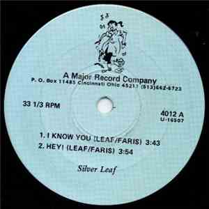 Silver Leaf - I Know You / Hey / In the Dark / Can We Rebuild Our City album