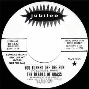 The Blades Of Grass - You Turned Off The Sun album