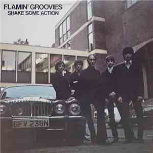 The Flamin' Groovies - Shake Some Action album