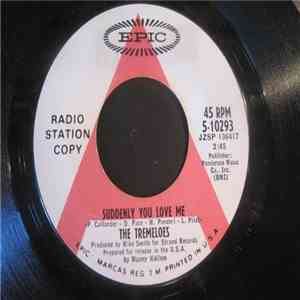 The Tremeloes - Suddenly You Love Me / Suddenly Winter album