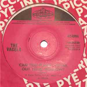 The Vacels - Can You Please Crawl Out Your Window? album