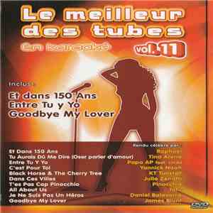 Various - Le Meilleur Des Tubes En Karaoké Vol. 11 album