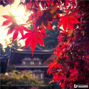 Various - Sometimes We Need To Disappear EP album