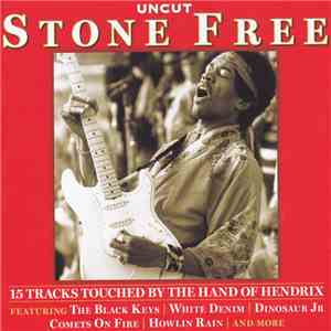 Various - Stone Free (15 Tracks Touched By The Hand Of Hendrix) album