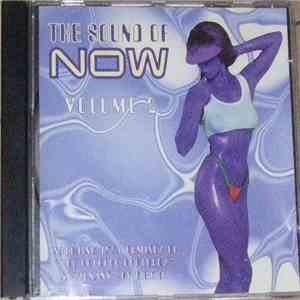 Various - The Sound Of Now Vol. 2 album