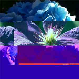 Bacchus  - Beep Repaired album