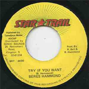Beres Hammond - Try If You Want album
