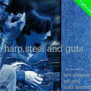 Blue Rider Trio - Harp, Steel And Guts album