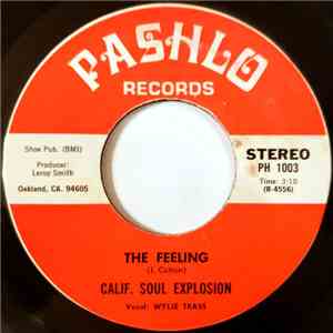 Calif. Soul Explosion - The Feeling / Chain Of Fools album