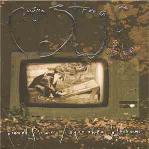 Cinema Strange - Pressed Flowers/Squashed Blossoms album