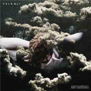 Crywolf - Quantum Immortality (Ferry Corsten Remix) album