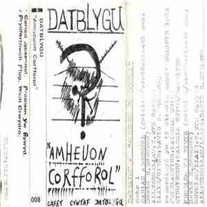 Datblygu - Amheuon Corfforol album
