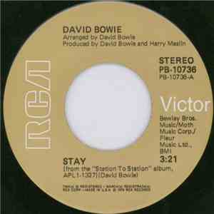 David Bowie - Stay album