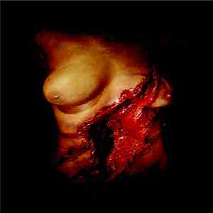 Dead Body Collection - I Slice Her Body, Over And Over album