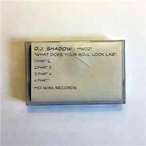 D.J. Shadow - What Does Your Soul Look Like album