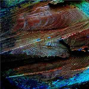 Duff Egan - Integration album