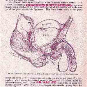 endometrium cuntplow - UK Sac EP album