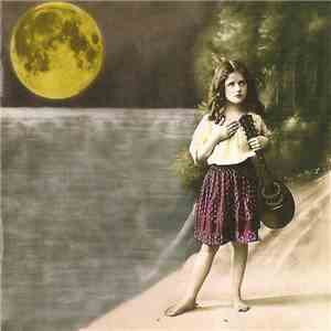 First Aid Kit - The Big Black & The Blue album