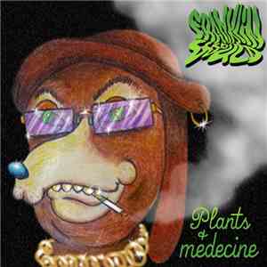 Franklin Would - Plants & Medicine album