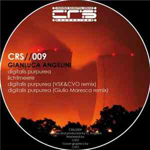 Gianluca Angelini - CRS//009 album