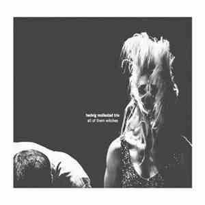 Hedvig Mollestad Trio - All Of Them Witches album