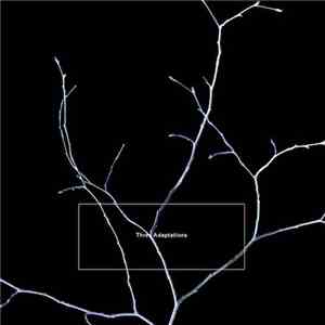 K. Leimer - Three Adaptations album